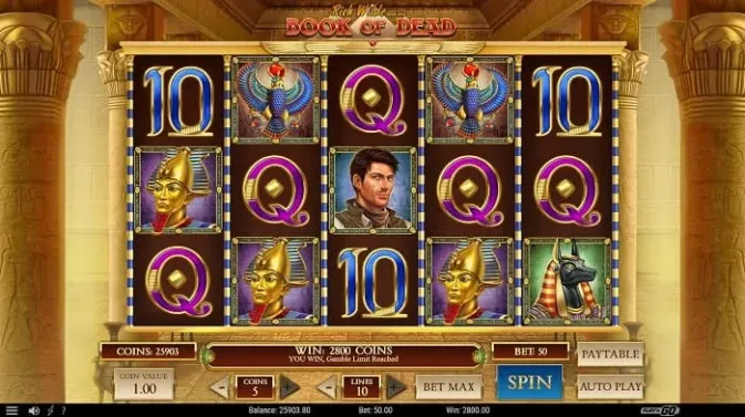 Book of Dead Slot Game 17